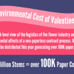 Valentine's day environmental cost infographic