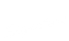 Signature Icon